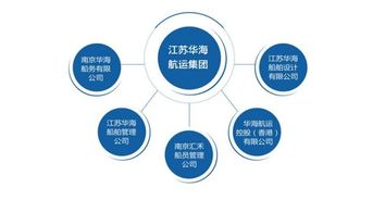 上市公司組織結構圖查詢指南 高效獲取技術架構信息的渠道與方法